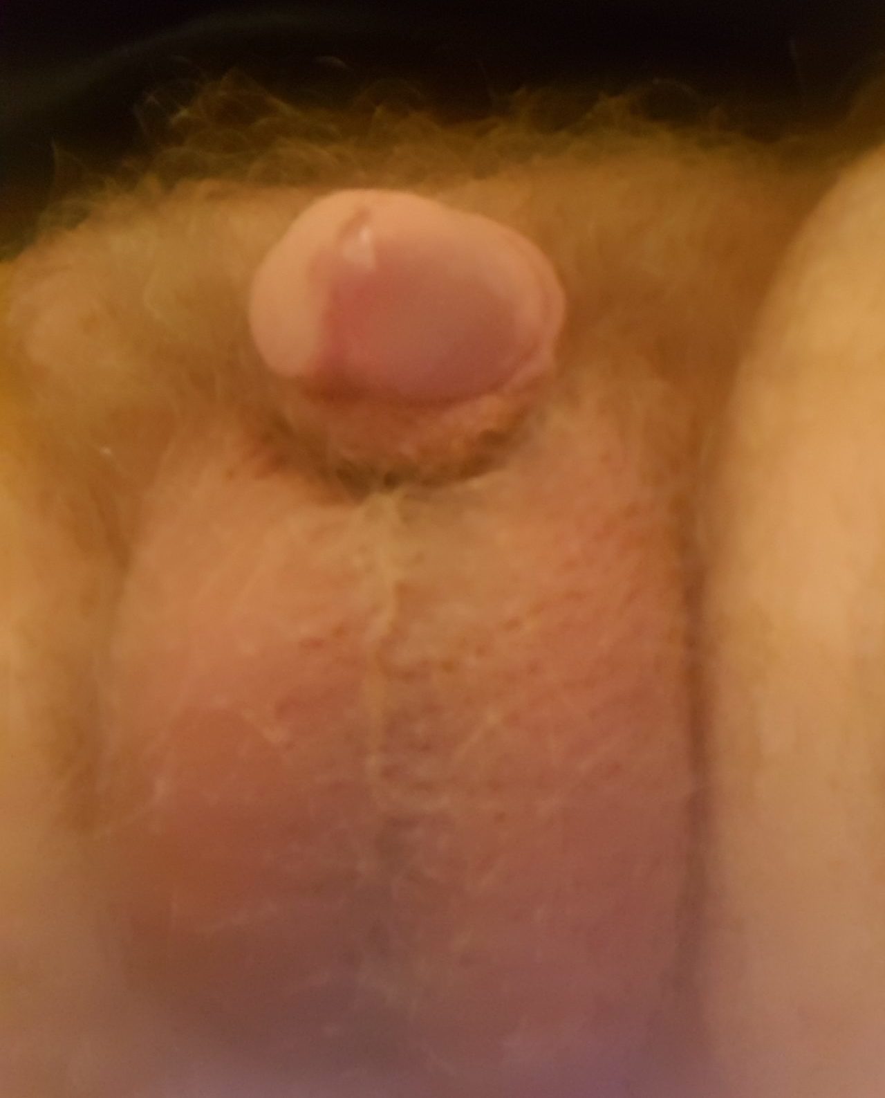 Showing off his pathetic penis