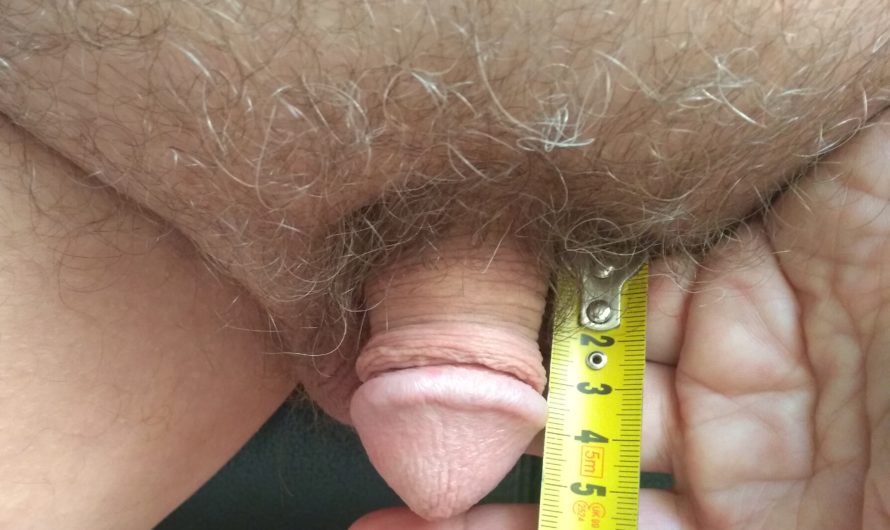 3 inch micro dick