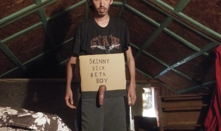 Long skinny dick gets sloppy seconds