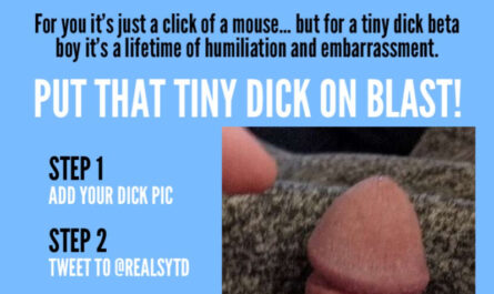 Sean's Tiny Dick Exposed