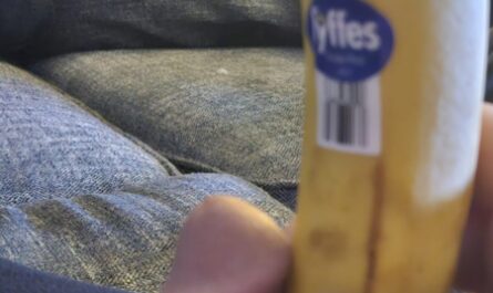 LittlSubby's Banana Challenge Fail