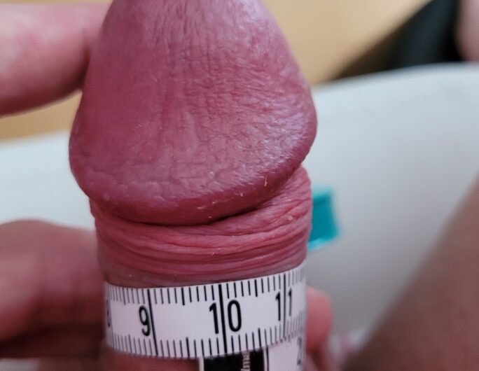 Pencil Dick or Not?