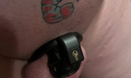 Shrimp dick locked up in chastity