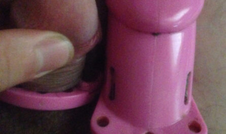 Little dicklette locked away