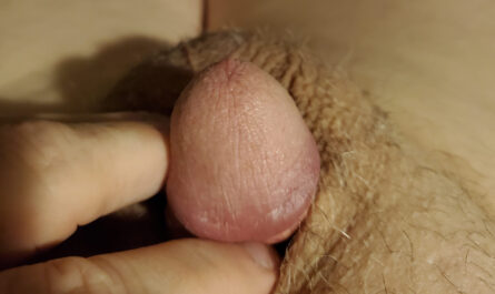A Few Centimeters Bigger Than William