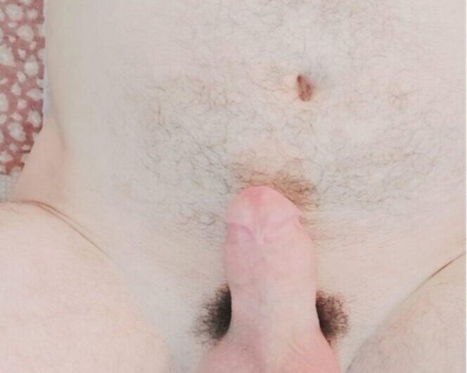 Small Arabic Acorn Cock